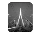 schoonmaakbedrijf_rotterdam